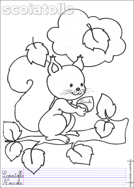 coloriage ecureuil 2
